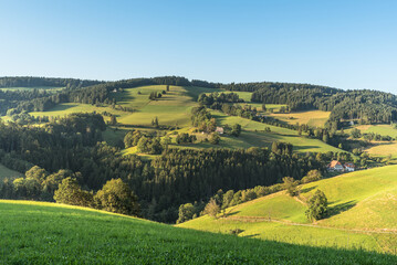 Obraz premium Hilly landscape of the Black Forest, with farmhouses and lush green meadows, St. Maergen, Baden-Wuerttemberg, Germany