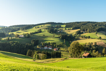 Hilly landscape of the Black Forest, with farmhouses and lush green meadows, St. Maergen, Baden-Wuerttemberg, Germany