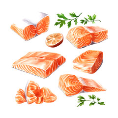Fresh Salmon Fillet Watercolor Illustration Seafood Healthy Cooking