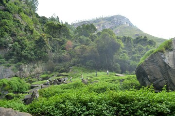 landscape in the mountains