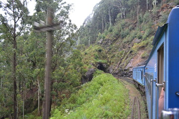 the road to the mountains