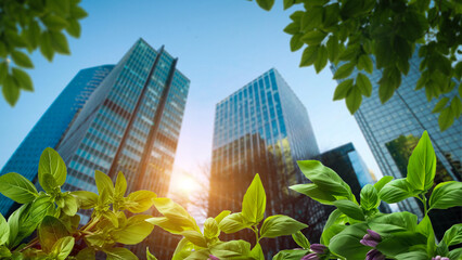 Corporate ESG reporting and nature awareness concept with green elements and business buildings....