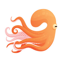 A cartoon octopus swimming gracefully in a bright orange coloring with detailed tentacles and a friendly look