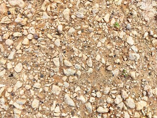 Textured ground covered with small rocks and gravel in a natural outdoor setting