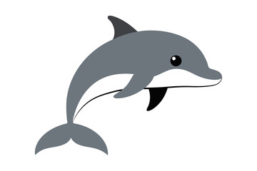 bottlenose dolphin isolated on white background