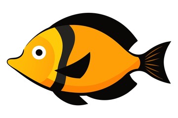 discus fish on white background