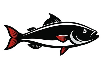 atlantic cod fish isolated on white