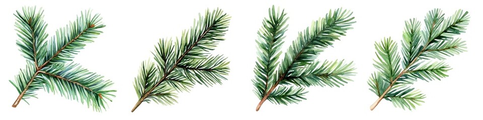 Obraz premium Winter snow collection. Green pine branches on a white background ,isolate on white background.