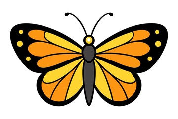 monarch butterfly on white background