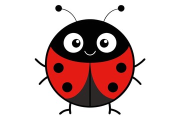 ladybug on white background