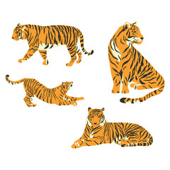 Flat set of cute tigers in various poses isolated on transparent background vector illustration