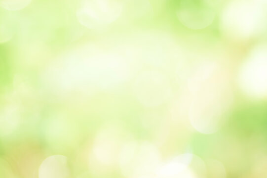 Fototapeta 緑色のやわらかな光と玉ボケ背景素材　Green soft light and ball bokeh background material