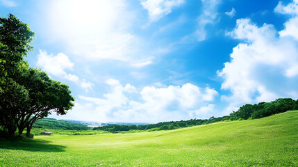 Obraz premium Green Grass, Inner Mongolia Grassland, Natural Scenery, Spring, Sunny 