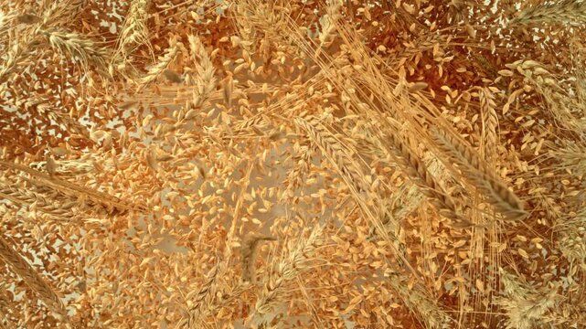 Super Slow Motion Shot of Cereals and Grains Flying Towards Camera at 1000fps.