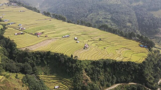 aerial view of terrace paddy farmland in Nuwakot, Nepal.