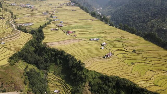 aerial view of terrace paddy farmland in Nuwakot, Nepal.