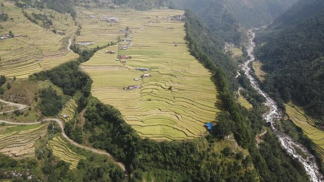 aerial view of terrace paddy farmland in Nuwakot, Nepal.