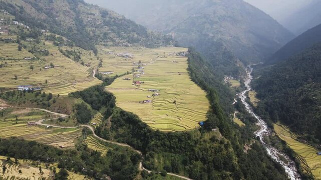 aerial view of terrace paddy farmland in Nuwakot, Nepal.