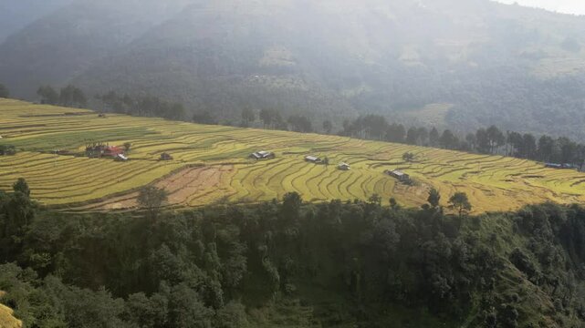 aerial view of terrace paddy farmland in Nuwakot, Nepal.