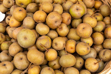 brisighella oil festival autumn tourist town hills of Romagna famous for wine and olive oil medieval historical center