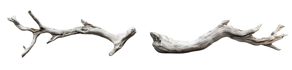 Obraz premium set of a driftwood branch isolated on a transparent background