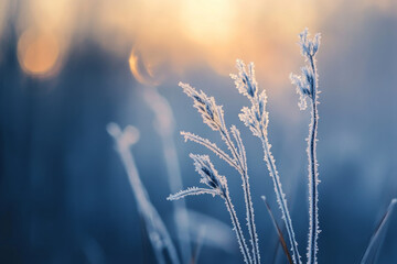 Obraz premium Textured ice patterns, intricate frost designs glowing softly under cold winter light, delicate and serene