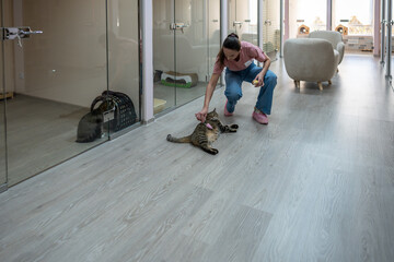 Smiling woman pet sitter in cat hotel gently strokes, plays with relaxed cat sprawled on floor among boarding rooms. Pet in comforting interaction, familiar care in new environment without owners