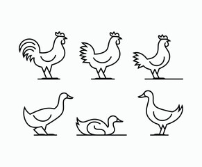 Fototapeta premium Sleek Poultry Silhouettes for Icon Design