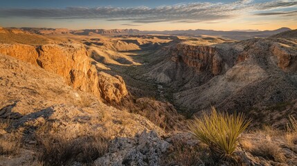 Obraz premium A sweeping desert landscape with rocky canyons and sparse vegetation.