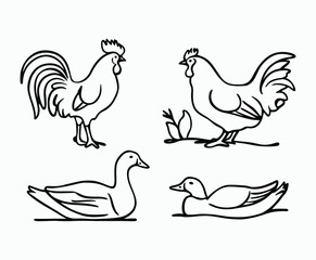 Bold Outline Chicken and Rooster Silhouettes Vector Template