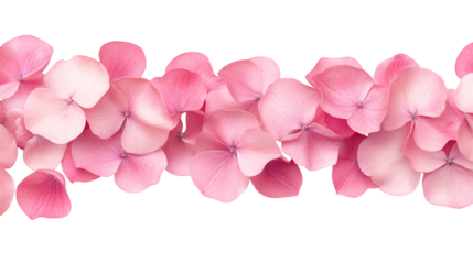 Elegant pink flowers on a striking black background, captivating image of blossoming beauty and delicate nature's contrast