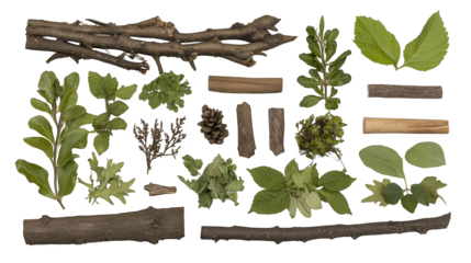 Discover the diversity of plant life, a stunning collection of greenery, vibrant colors, and unique textures in nature's garden