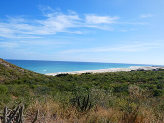 Fototapeta premium view from the beach