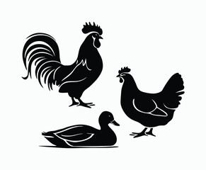 Fototapeta premium Elegant Rooster Hen Duck Silhouettes Vector Collection Illustration