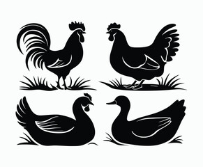 Obraz premium Modern Poultry Silhouettes Collection for Logos