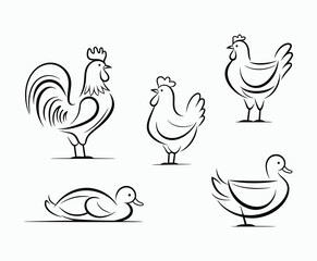 Fototapeta premium Natural Outline Poultry Silhouettes Vector Collection Template for Icons