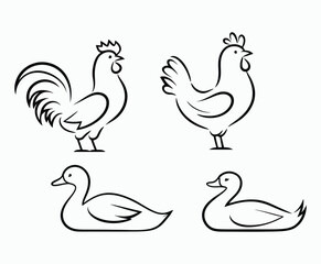 Obraz premium Stunning Outline Poultry Silhouettes Collection Vector Template