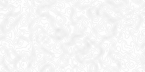 Vector geographic contour map. Topography map background. Black and white wave Seamless line. Topography relief. White wave paper curved reliefs abstract. Topographic map patterns,topography line map.