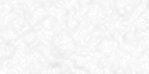 Vector geographic contour map. Topography map background. Black and white wave Seamless line. Topography relief. White wave paper curved reliefs abstract. Topographic map patterns,topography line map.