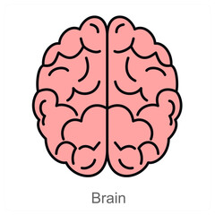 Brain