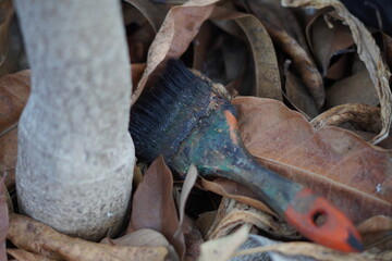 An abandoned brush sitting on a pile of dry leaves in a plant pot with a large stem
