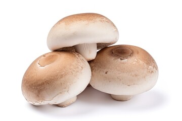 Fototapeta premium Champignons mushrooms food fungus white background.