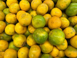 There is a vibrant assortment of yellow and green oranges arranged neatly on a table, showcasing various citrus fruits like Rangpur, Bitter orange, Calamondin, Mandarin orange, and Sweet lemon