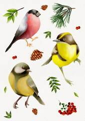 bird, nature, yellow, wildlife, animal, branch,