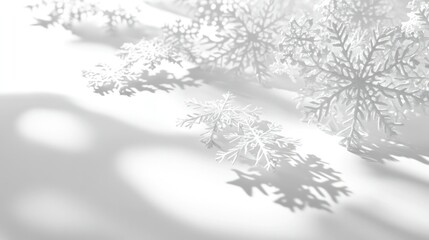 Obraz premium Textured 3D render of snowflakes, casting delicate shadows on a bright white surface