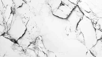 Fototapeta premium Close-up of elegant white marble surface with intricate black veining.