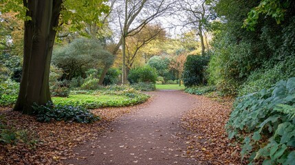 Obraz premium Serene Pathway Through Autumn Foliage in the Park