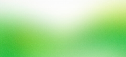 Fresh green and white gradient background with smooth transitions and grainy texture, ideal for nature-themed web design, banners, and posters with a minimalistic touch