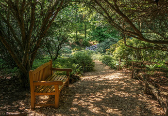 Obraz premium A bench in a garden surrounded by trees and flowers.