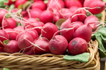 Fresh vegetables with red radishes in the market